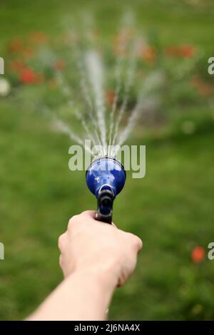 La mano del giardiniere tiene un tubo con un'irroratrice ed innaffiato le piante nel giardino Foto Stock