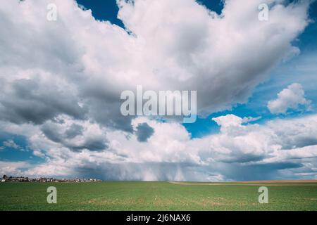 Cielo durante la pioggia Horizon sopra grano rurale Landscape Field. Concetto di previsione agricola e meteorologica. Tempesta, tuono, tempesta, tempesta Foto Stock