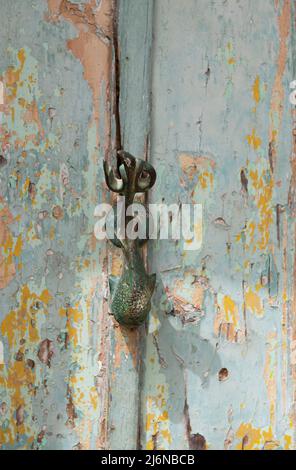 Porta decorativa bussare su una porta di legno da Malta, porta pomello Dophin. Malta, porta tradizionale, batticalcagno Foto Stock