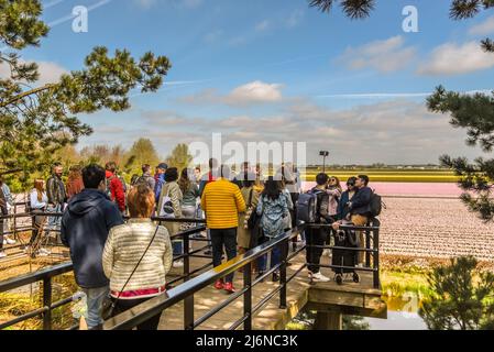 Lisse, Paesi Bassi, aprile 2012. I turisti hanno le loro foto scattate alla mostra dei fiori De Keukenhof. Foto di alta qualità Foto Stock