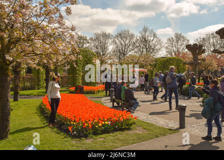 Lisse, Paesi Bassi, aprile 2012. I turisti hanno le loro foto scattate alla mostra dei fiori De Keukenhof. Foto di alta qualità Foto Stock