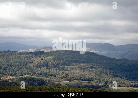 Il Langdale Pikes visto da Letterbarrow vicino Hawkshead il Lake District Cumbria Inghilterra Foto Stock