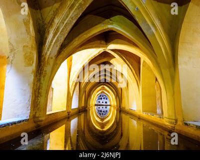 Banos de Maria de Padilla (bagni Maria de Padilla) - Real Alcazar - Siviglia, Spagna Foto Stock