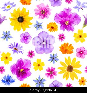 Motivo luminoso senza giunture di fiori colorati su sfondo bianco, come sfondo o texture. Primavera, estate carta da parati floreale per il tuo design. Vista dall'alto Foto Stock