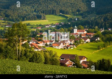 Lam, una piccola città della Baviera in estate al sole della sera. Parte di Lamer Winkel, Foresta Bavarese, distretto di Cham, Palatinato superiore, Baviera, Foto Stock