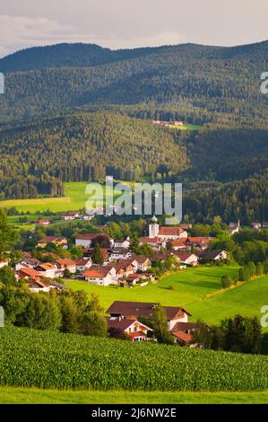 Lam, una piccola città della Baviera in estate al sole della sera. Parte di Lamer Winkel, Foresta Bavarese, distretto di Cham, Palatinato superiore, Baviera, Foto Stock