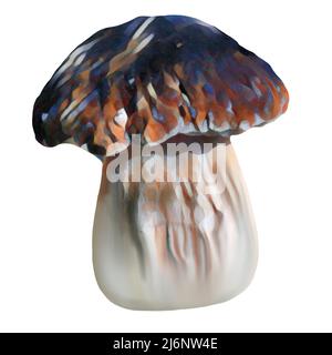 Diversi tipi di funghi marroni su sfondo bianco, clip-art, arte, funghi disegno a mano. Foto Stock