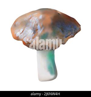 Diversi tipi di funghi marroni su sfondo bianco, clip-art, arte, funghi disegno a mano. Foto Stock