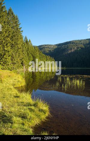 Bellissimo lago Kleiner Arbersee con le sue isole balneari nella Foresta Bavarese, Palatinato superiore, Baviera, Germania. Foto Stock