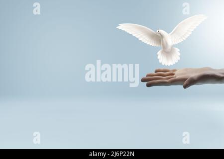 Colomba bianca che vola fuori mano su sfondo blu. 3D rendering dell'immagine. Foto Stock