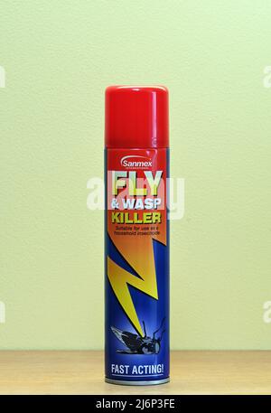 Sanmex International. Fly & Wasp Killer. Adatto per uso come insetticida domestico. Ad azione rapida! Bomboletta spray. Foto Stock