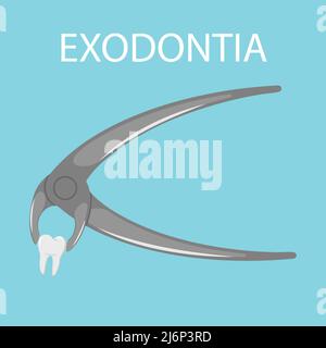 Estrazione dentale. Exodontia. Il dente nella pinza dentaria. Un dente bianco pulito è bloccato tra le pinzette. Strumento dentale professionale Illustrazione Vettoriale