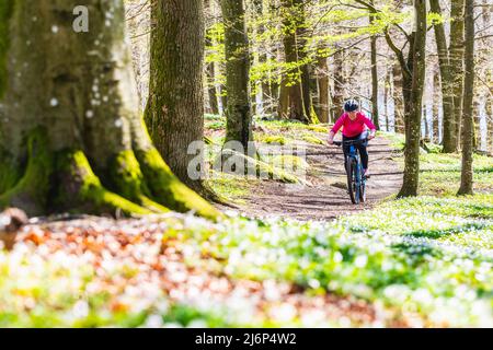 Donna in bicicletta sul sentiero nella foresta Foto Stock