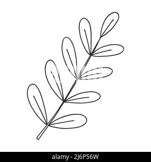 Un rametto di piante con foglie sul gambo. Elemento decorativo botanico. Semplice illustrazione vettoriale in bianco e nero disegnata a mano, isolata su un bianco Illustrazione Vettoriale