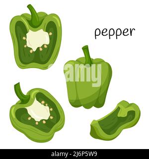 Pepe verde non maturo. Intero, metà in sezione trasversale e un quarto di strato. Ingrediente, un elemento per la progettazione di imballaggi alimentari, ricette e menu. È Illustrazione Vettoriale