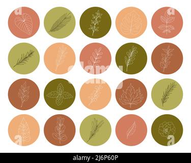 Una serie di icone a forma rotonda con ramoscelli e foglie disegnate a mano. Una collezione di elementi decorativi botanici nei toni del verde e del rosa per il sociale Illustrazione Vettoriale