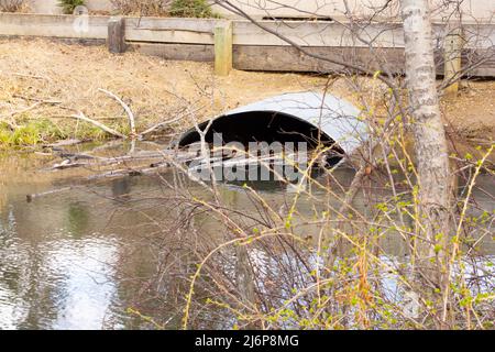 Tubo di scarico sotto la strada da Stream Oxbow nel Parco Foto Stock