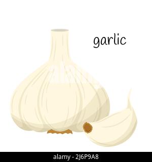 Testa di aglio. Intero e uno spicchio d'aglio. Vegetale, ingrediente, l'elemento di disegno di confezionamento per alimenti, ricette, menu. Isolato su un dorso bianco Illustrazione Vettoriale