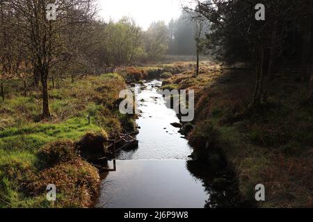 Fiume illuminato al sole di mattina presto Foto Stock