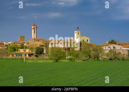 Vista della città di Verges tra i campi circostanti (Baix Empordà, Girona, Catalogna, Spagna) ESP: Vistas del pueblo de Verges entre campos (España) Foto Stock