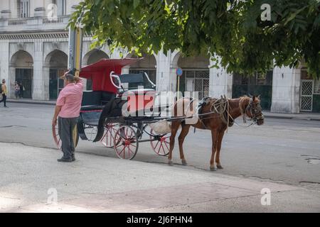 Hansom taxi e autista in attesa di un prezzo al Parque Central a l'Avana, Cuba. Foto Stock