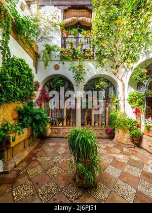 Tradizionale cortile andaluso pieno di piante e fiori nella città vecchia - Cordoba, Spagna Foto Stock