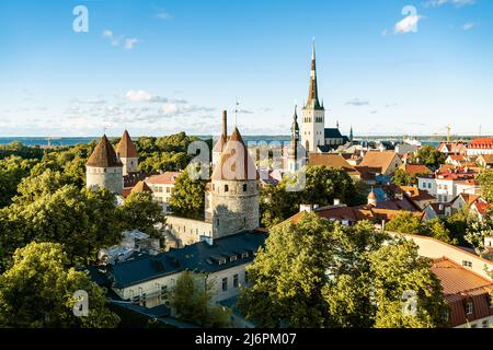 Tallinn, Estonia. Città vecchia e città in estate. Skyline della capitale baltica e nordica in Europa. Castello storico e chiesa. Edifici del centro. Foto Stock