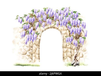 Antica architettura arck e Wisteria fiore albero. Illustrazione di acquerello disegnata a mano isolata su sfondo bianco Foto Stock