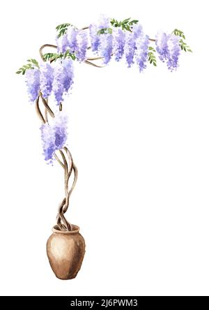 Albero di fiori di glicine. Illustrazione di acquerello disegnata a mano isolata su sfondo bianco Foto Stock