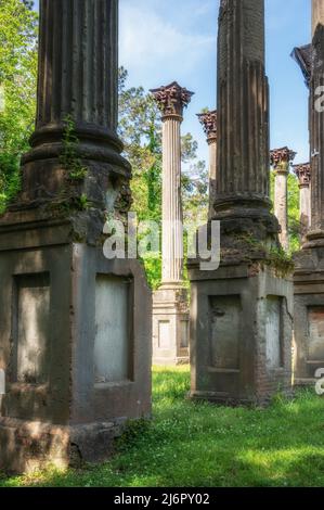 Le rovine di Windsor vicino a Port Gibson, Mississippi, le rovine di una delle più grandi case anteguerra mai costruite, situate al di fuori della Natchez Trace Parkway, Stati Uniti. Foto Stock