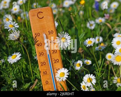Thermometer on a flower meadow in the summer heat Foto Stock