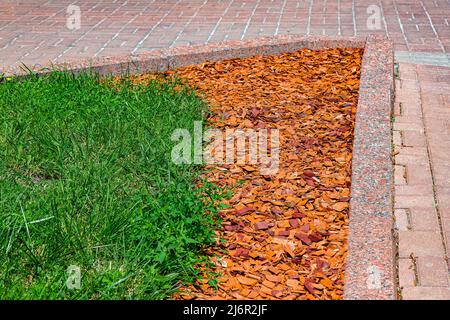 pacciame di pino sul letto del giardino. Design del paesaggio del parco con trucioli di legno sul letto di fiori con erba verde illuminata da luce solare vicino al kerbe di granito con ston Foto Stock