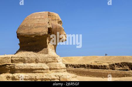 Grande Sfinge di Giza in Egitto Foto Stock