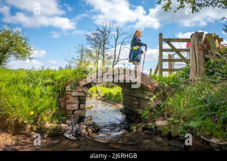 Passeggiatrice femminile che cammina su un vecchio ponte pedonale a campata singola che attraversa un piccolo ruscello o un fiume. Foto Stock