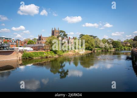 Cattedrale di Hereford dalle rive del fiume Wye, Hereford, Inghilterra, Regno Unito Foto Stock