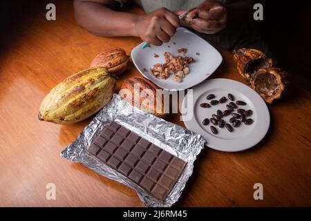 Ritratto di un tavolo con le mani di una donna che apre i fagioli di cacao durante la lavorazione per ottenere il cacao per fare il cioccolato. Concentratevi sulla barra del cioccolato Foto Stock