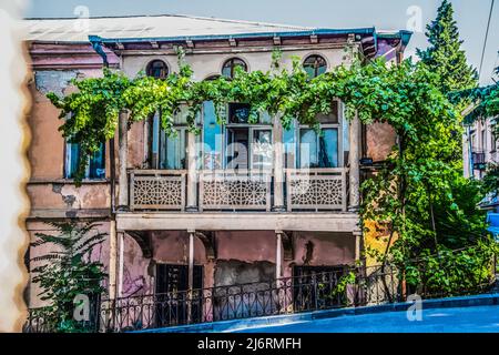 Vecchia casa grungy ornata in Tbilisi Georgia coperta di viti Foto Stock