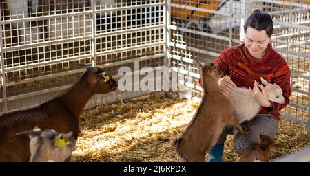 Donna allegra che gioca con i goatlings nella stalla dello zoo di animali domestici Foto Stock