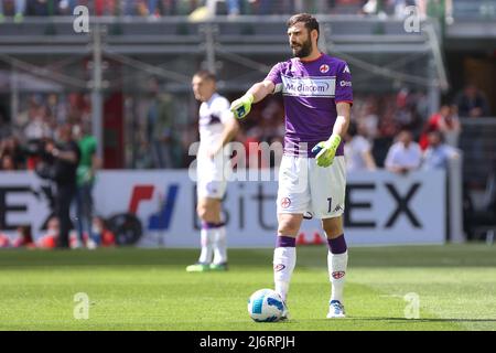 1 maggio 2022, Milano, Italia: Italia, Milano, Maggio 1 2022: Pietro Terracciano (portiere Fiorentina) pronto per il lancio nella prima metà durante la partita di calcio AC MILAN vs FIORENTINA, Serie A 2021-2022 day35 Stadio San Siro (Credit Image: © Fabrizio Andrea Bertani/Pacific Press via ZUMA Press Wire) Foto Stock