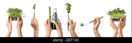 Molte mani che tengono freschi micro verdi e bottiglia di succo di sedano su sfondo bianco Foto Stock