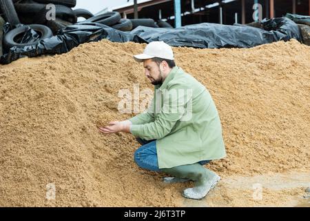 Giovane agricoltore che controlla la qualità dei birrifici ha speso i cereali in ammasso aperto Foto Stock