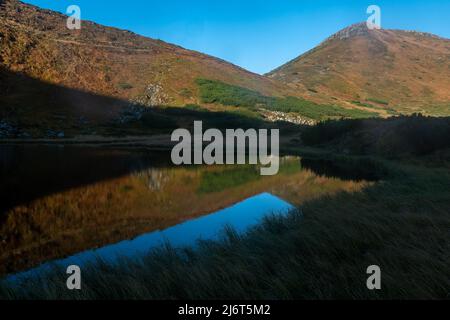 Riflesso del Monte Turku nella riserva del Lago Nesamovyto, del Lago Nesamovyte e del Monte Turkul, paesaggi autunnali dei Carpazi, mattina nel Foto Stock