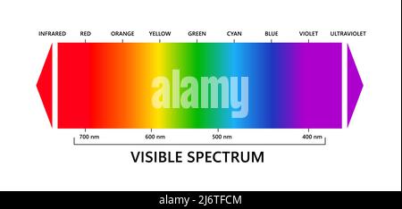 Spettro luminoso visibile, infared e ultravioletto. Spettro di colori visibili elettromagnetici per l'occhio umano. Diagramma gradiente vettoriale con lunghezza d'onda e. Illustrazione Vettoriale