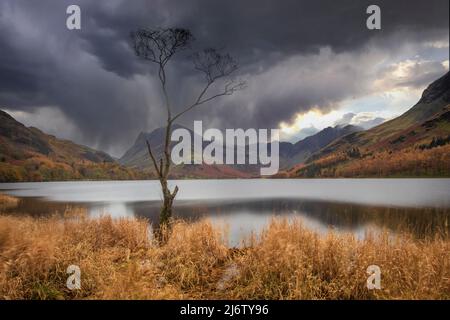 Buttermere con Fleetwith Pike e Haystack sotto un cielo moody Foto Stock