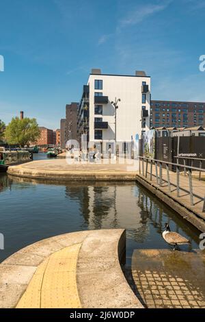 New Islington, un'area rigenerata di Manchester precedentemente associata ai mulini dell'industria del cotone. Foto Stock