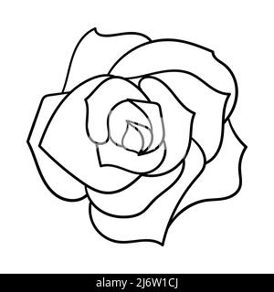 Il fiore di una rosa fiorente. La vista dall'alto. Un bocciolo con petali. Semplice design decorativo. L'illustrazione del contorno è disegnata a mano, iso Illustrazione Vettoriale