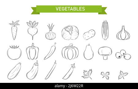 Una serie di icone lineari per verdure, funghi, olive in stile Doodle. . Gli elementi di design sono disegnati a mano e isolati su sfondo bianco. Nero AN Illustrazione Vettoriale