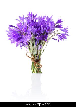 Un piccolo bouquet di fiori di bluebell. Foto isolata. Foto Stock