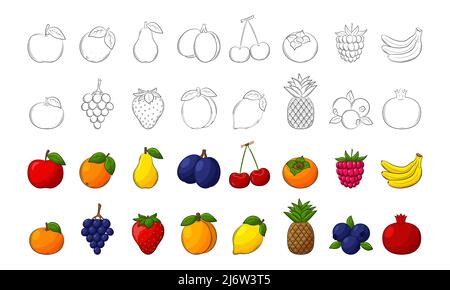 Un set di frutta. Elementi lineari in bianco e nero e colori con contorno. Raccolta di frutta e bacche per il disegno di imballaggio degli alimenti. Isolare Illustrazione Vettoriale