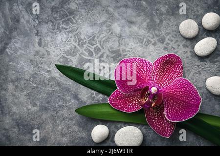 Orchidea e pietre bordo floreale su sfondo grigio, zen spa bellezza design, spazio copia Foto Stock